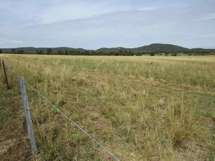 Seventh view of Homely rural property listing, "Wollaroi" Bangheet Road, Bingara NSW 2404