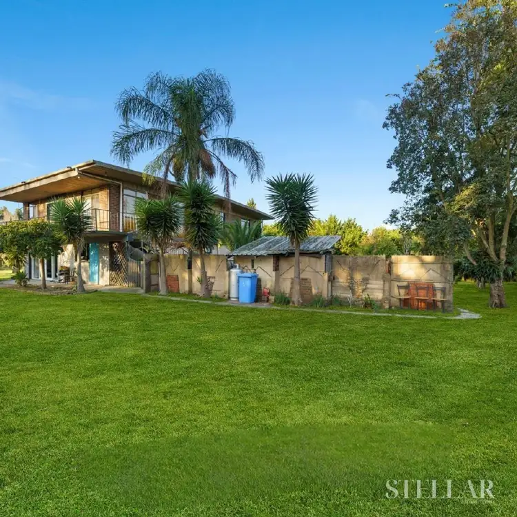 8 olive rd
