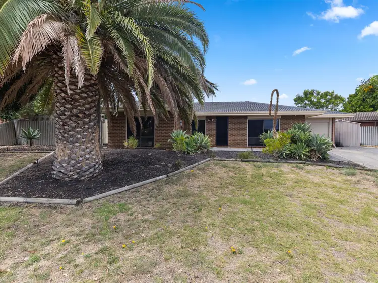 Third view of Homely house listing, 8 Mannion Way, Kardinya WA 6163