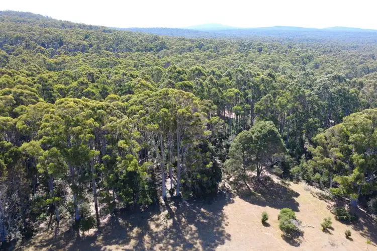 LOT 1 BRIDPORT ROAD, Pipers River TAS 7252