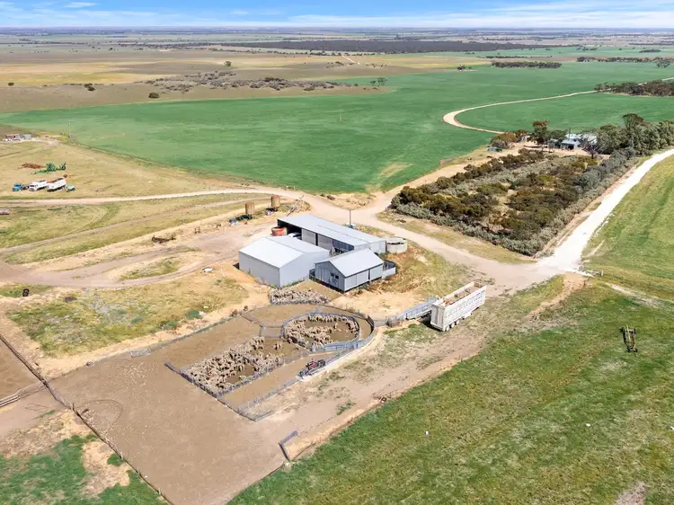 Main view of Homely rural property listing, 770 Heym Road, Sherlock SA 5301