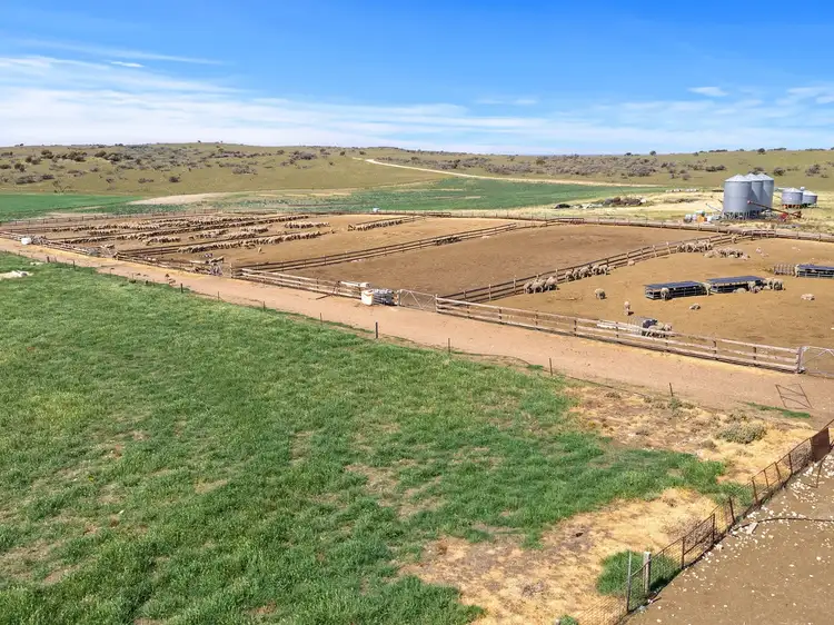 Third view of Homely rural property listing, 770 Heym Road, Sherlock SA 5301