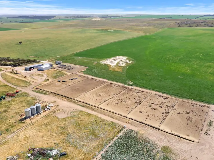 Seventh view of Homely rural property listing, 770 Heym Road, Sherlock SA 5301