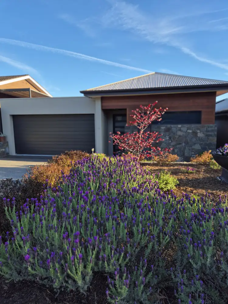 Second view of Homely semi-detached listing, 1/68 Gouger Street, Torrens ACT 2607