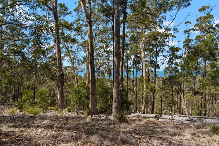 Seventh view of Homely land listing, 108 Happy Valley Road, Spring Beach TAS 7190