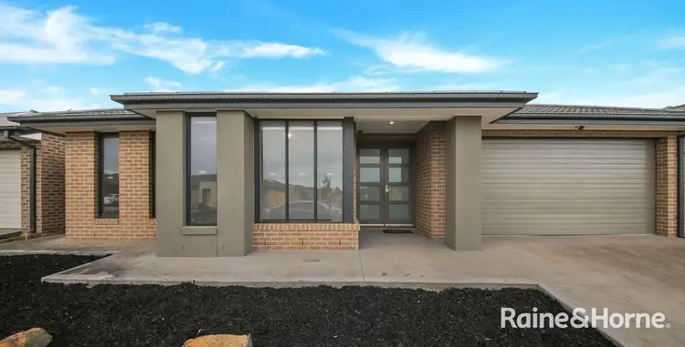 37 Rosewater Street