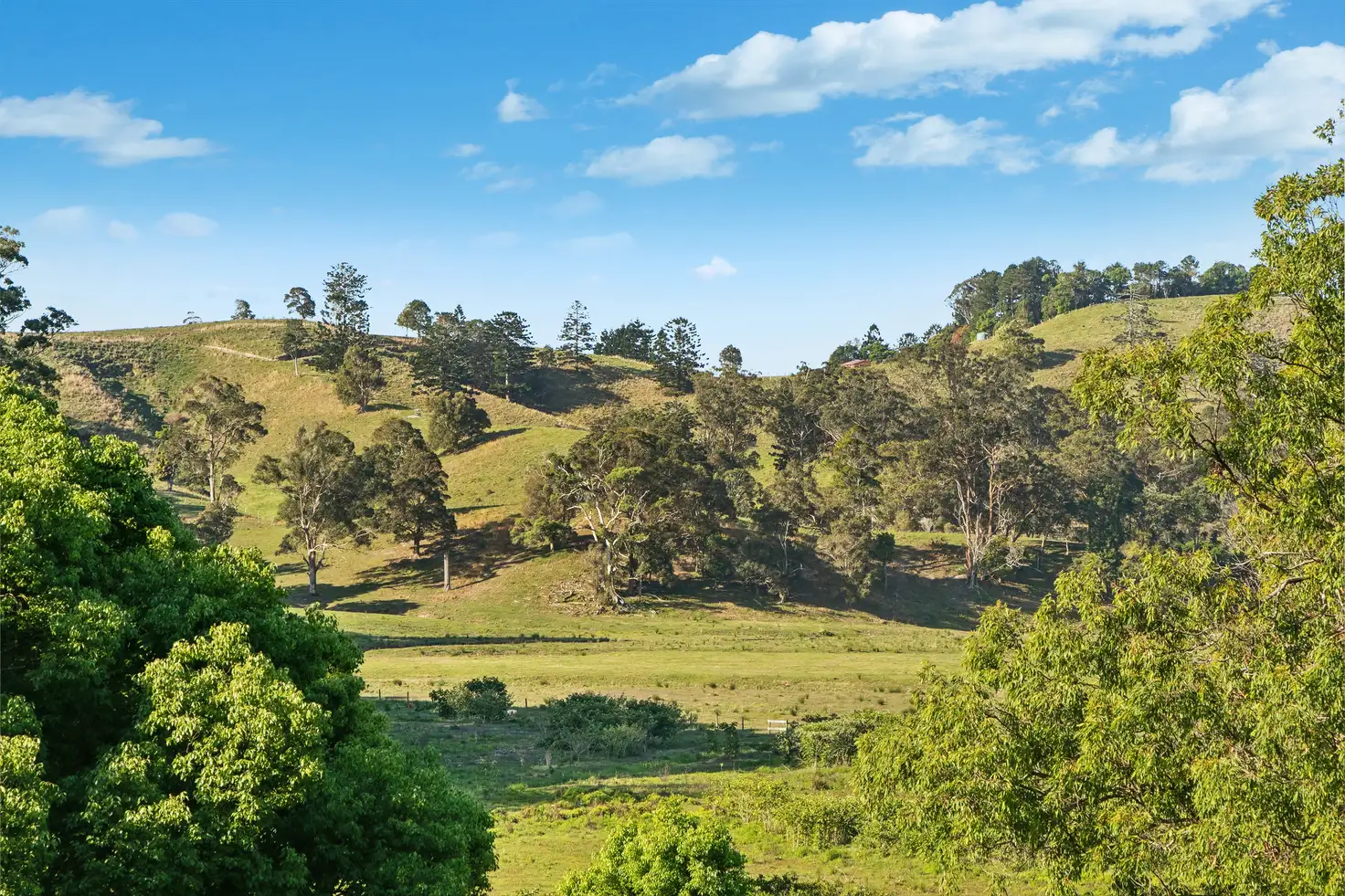 Main view of Homely rural property listing, 82 Woodfords Road, Reserve Creek NSW 2484