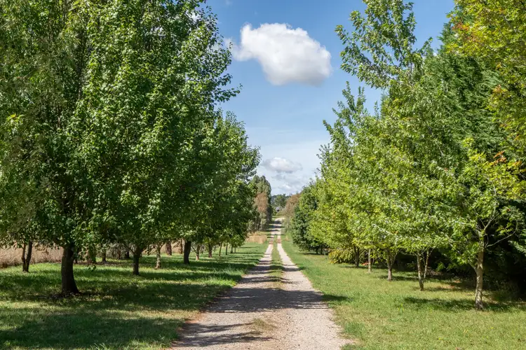 Second view of Homely rural property listing, "Waverton" 76 Blunt Road, Orange NSW 2800