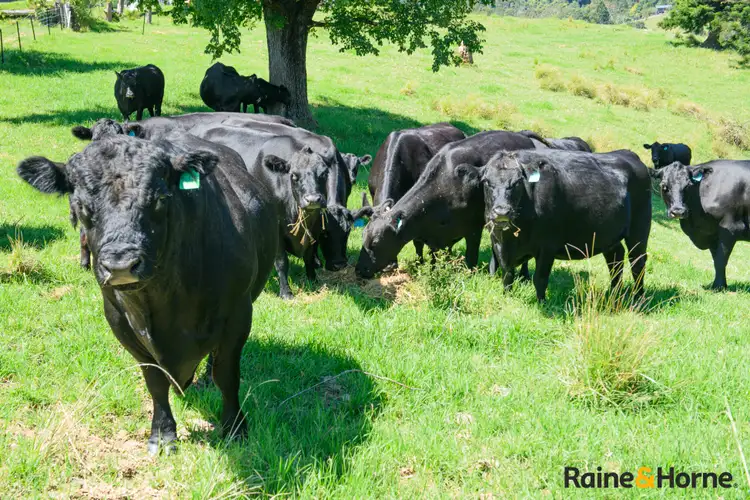 Third view of Homely rural property listing, 1691 Coramba Road, Megan NSW 2453