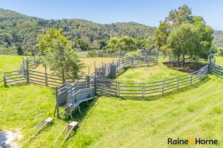 Fourth view of Homely rural property listing, 1691 Coramba Road, Megan NSW 2453