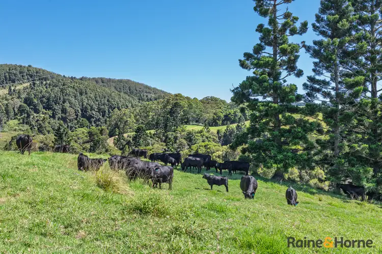 Sixth view of Homely rural property listing, 1691 Coramba Road, Megan NSW 2453