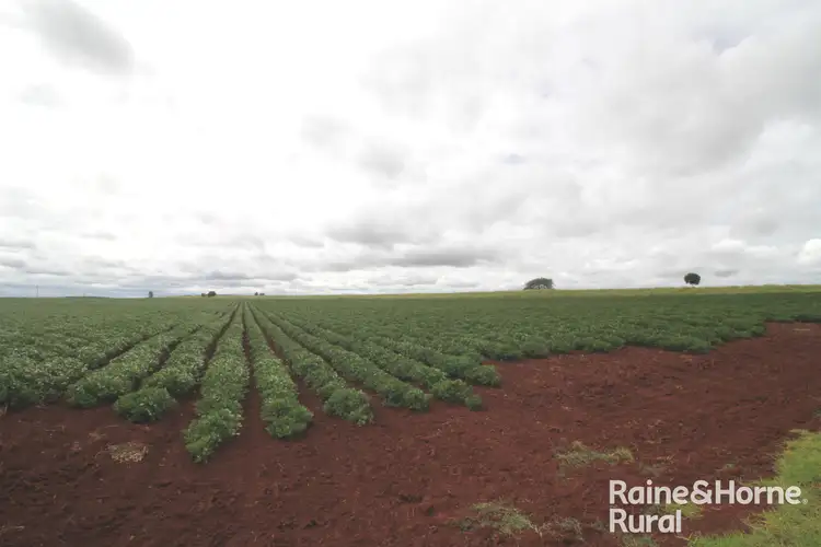 Main view of Homely rural property listing, Lot 8 Corner of Peterson drive and Royles Rd, Coolabunia QLD 4610