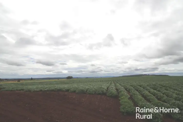 Fifth view of Homely rural property listing, Lot 8 Corner of Peterson drive and Royles Rd, Coolabunia QLD 4610