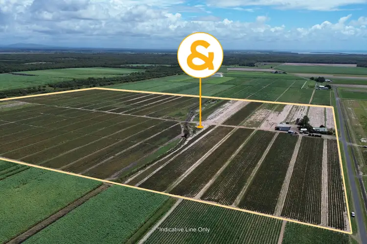 453 Lindemans Road, Moore Park Beach QLD 4670