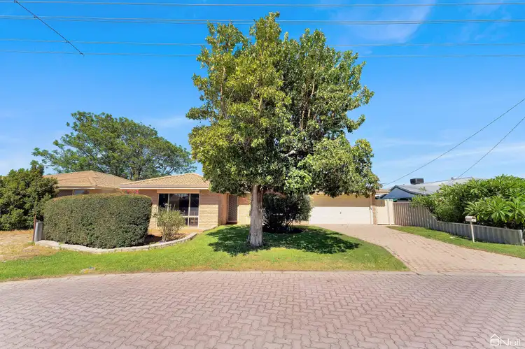 Fourth view of Homely house listing, 37 Seminole Gardens, Seville Grove WA 6112