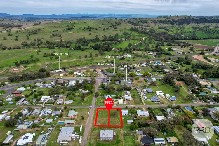 44 Learmonth Street, Willow Tree NSW 2339