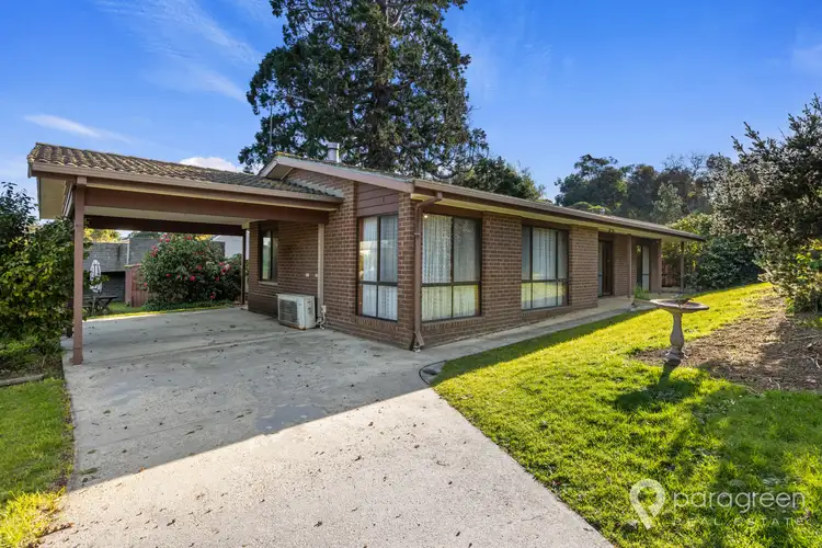 3 Sparkes Court