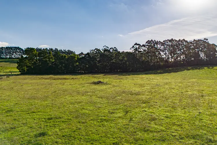 Fifth view of Homely rural property listing, 53 Currie Road, Warragul South VIC 3821
