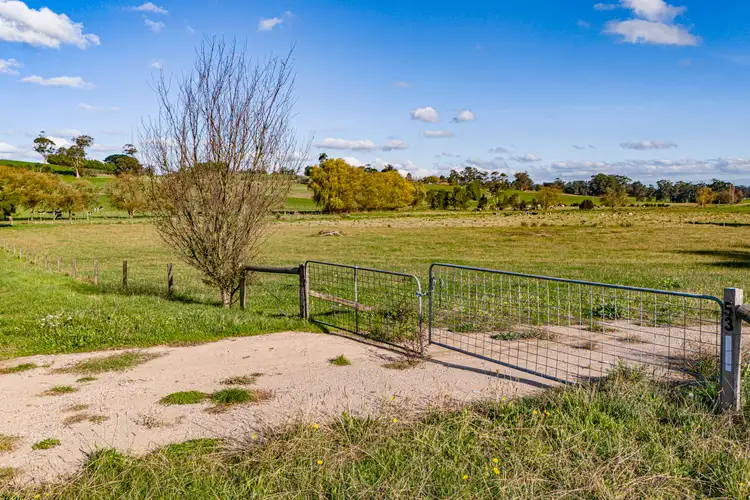 Seventh view of Homely rural property listing, 53 Currie Road, Warragul South VIC 3821