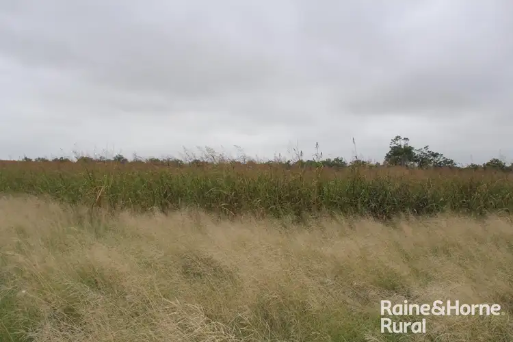 Third view of Homely rural property listing, 1122 Kumbia Road, Haly Creek QLD 4610
