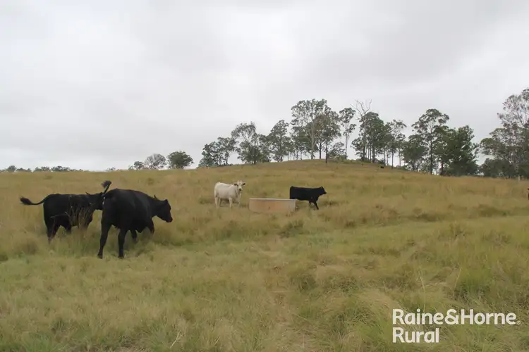 Fifth view of Homely rural property listing, 1122 Kumbia Road, Haly Creek QLD 4610