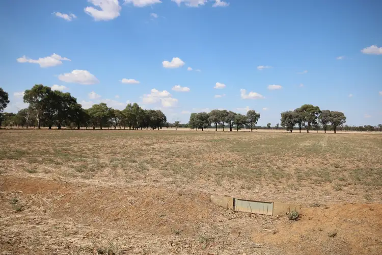 556 Lowe Road, Rochester VIC 3561