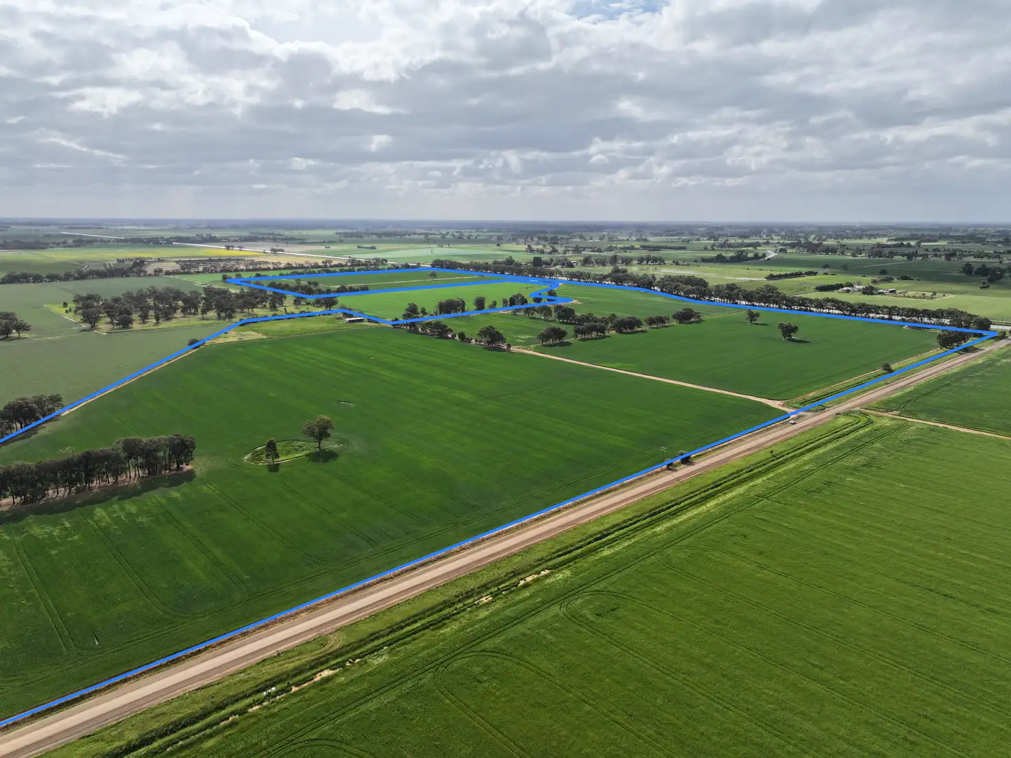 Main view of Homely rural property listing, 556 Lowe Road, Rochester VIC 3561
