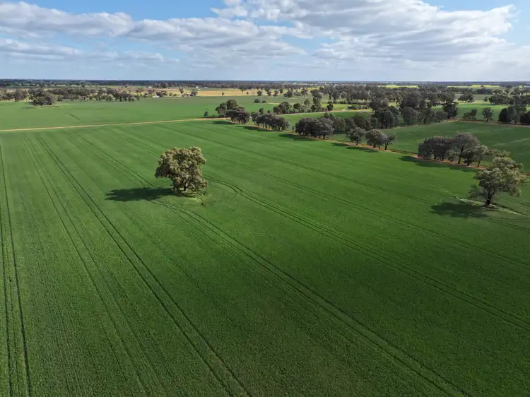 Fourth view of Homely rural property listing, 556 Lowe Road, Rochester VIC 3561