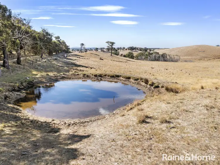 Fourth view of Homely house listing, 1335 Dairy Flat Road, Tooborac VIC 3522