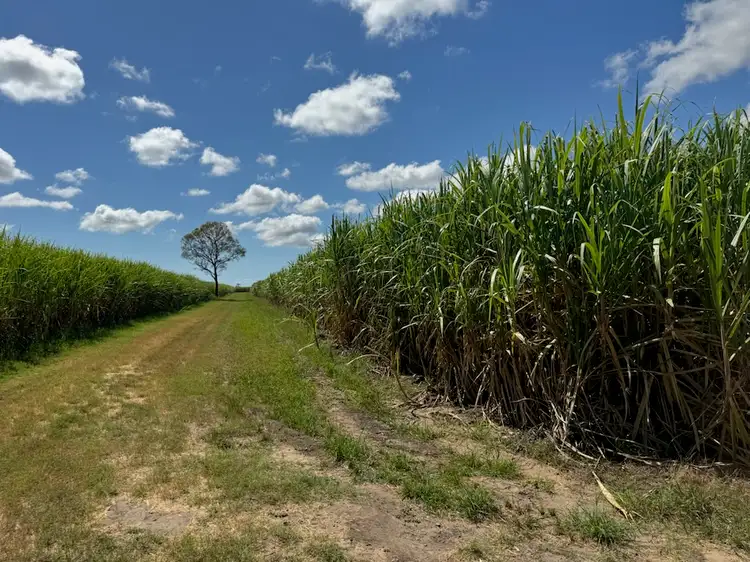 183 Burstall Road, Airdmillan QLD 4807