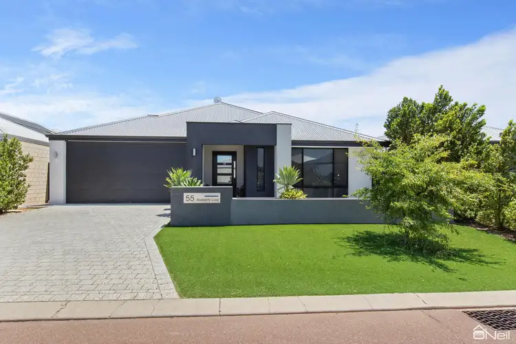 Main view of Homely house listing, 55 Blueberry Loop, Byford WA 6122