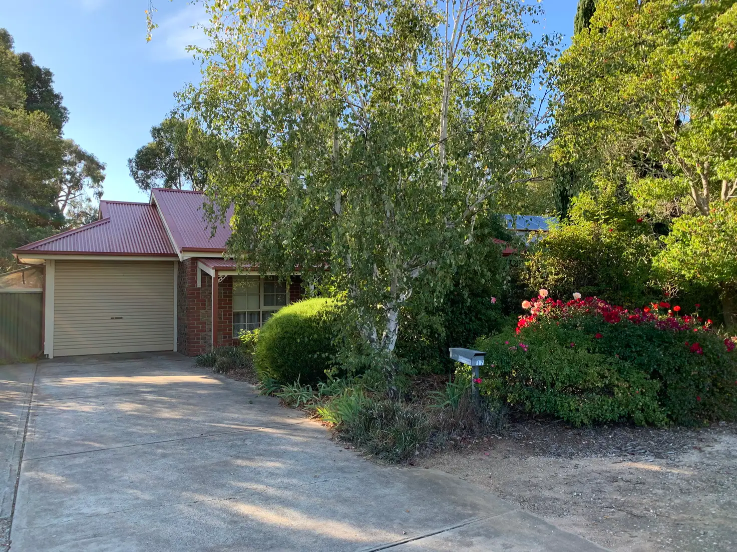 Main view of Homely house listing, 17 Hughes, Mount Barker SA 5251