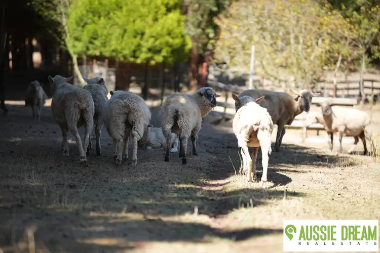 Seventh view of Homely land listing, 31 Faheys Road, Gordon VIC 3345