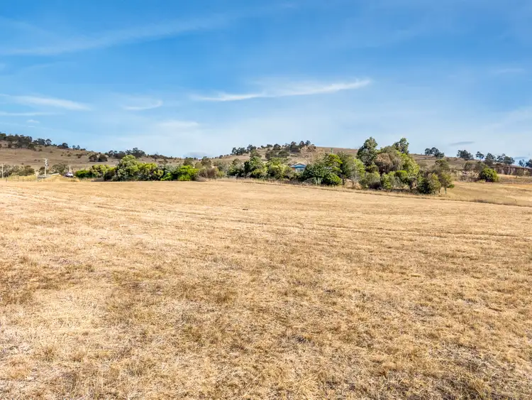 Seventh view of Homely land listing, 342 Cove Hill Road, Honeywood TAS 7017