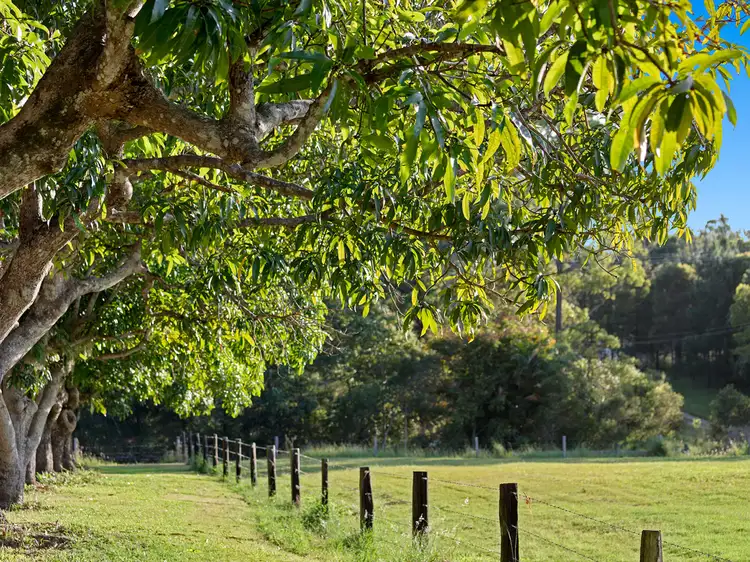 Sixth view of Homely land listing, LOT 9 Central Acres, Tinana QLD 4650