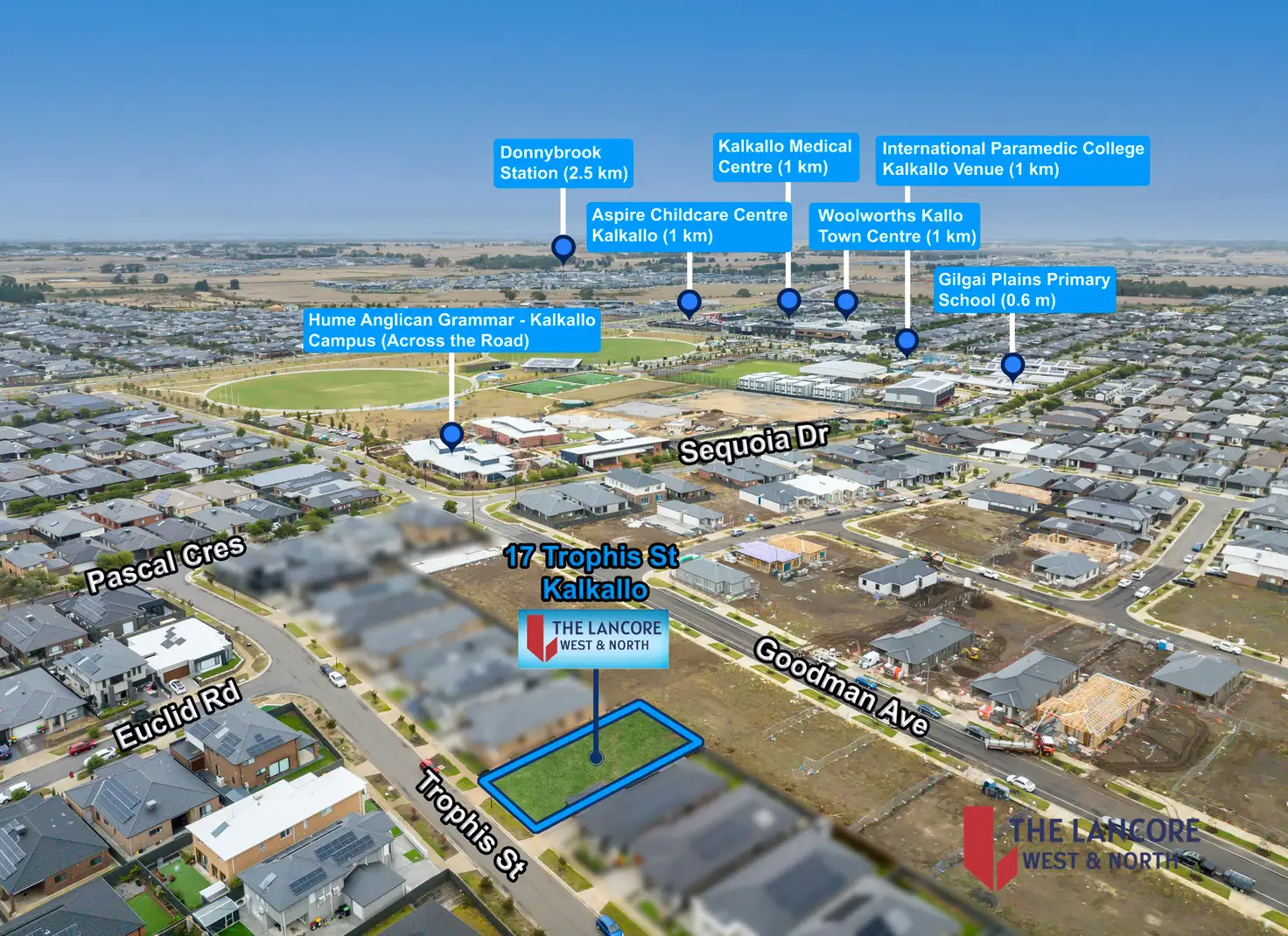 Main view of Homely land listing, 17 TROPHIS STREET, Kalkallo VIC 3064