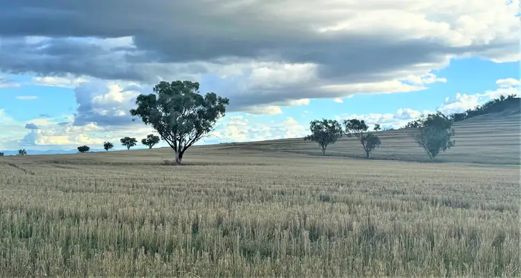 Second view of Homely rural property listing, "Kyooma" 535 Black Gully Road, Werris Creek NSW 2341