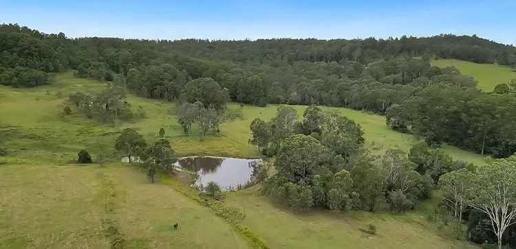 Sixth view of Homely rural property listing, 18108 Clarence Way, Urbenville NSW 2475