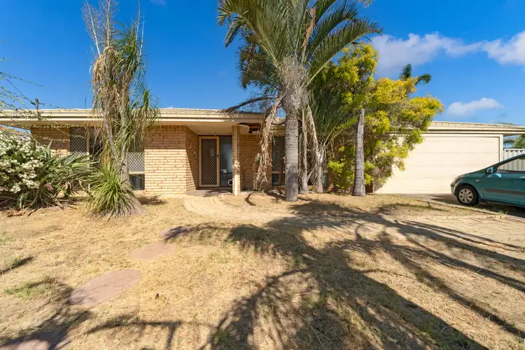 50 Conidae Drive