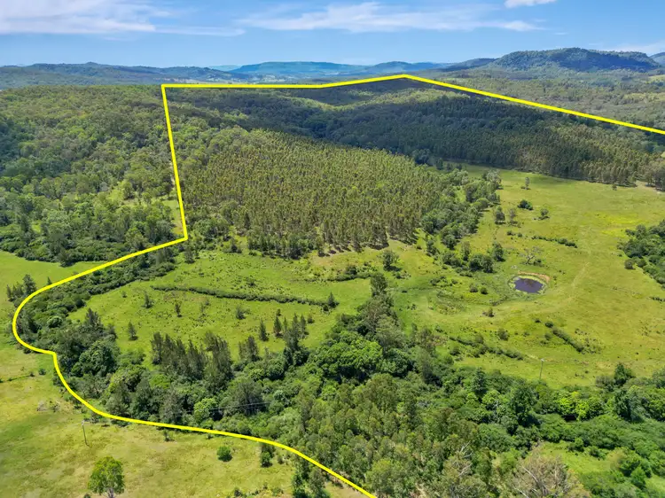 Fourth view of Homely rural property listing, 624 Tabulam Road, Lower Bottle Creek NSW 2469