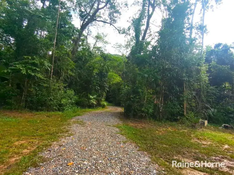 Fourth view of Homely land listing, Lot 18 Thornton Peak Drive, Forest Creek, Daintree QLD 4873