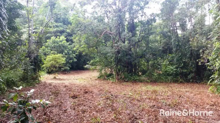 68 Forest Creek Road, Daintree QLD 4873