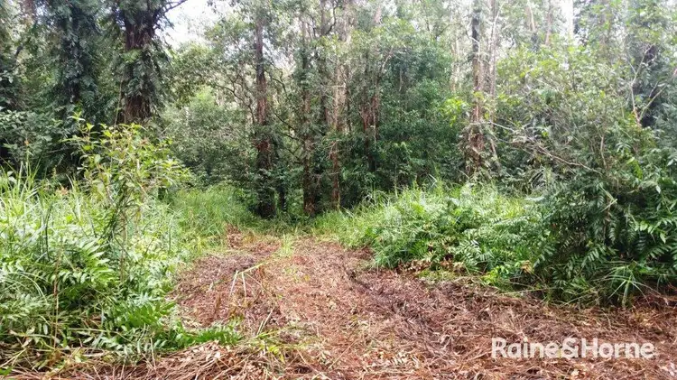 Sixth view of Homely land listing, 68 Forest Creek Road, Daintree QLD 4873