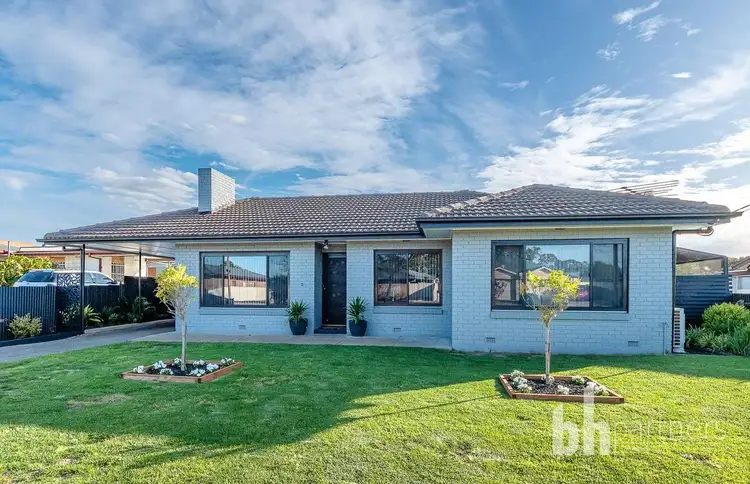 49 Hill Street, Murray Bridge SA 5253