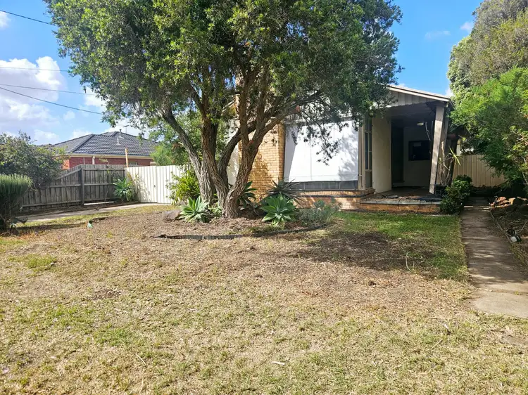 17 Jellicoe Street