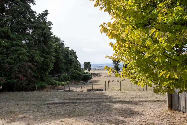 Third view of Homely land listing, 924 White Hills Road, Evandale TAS 7212