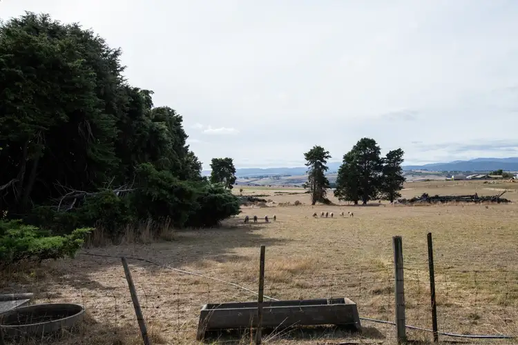 Sixth view of Homely land listing, 924 White Hills Road, Evandale TAS 7212