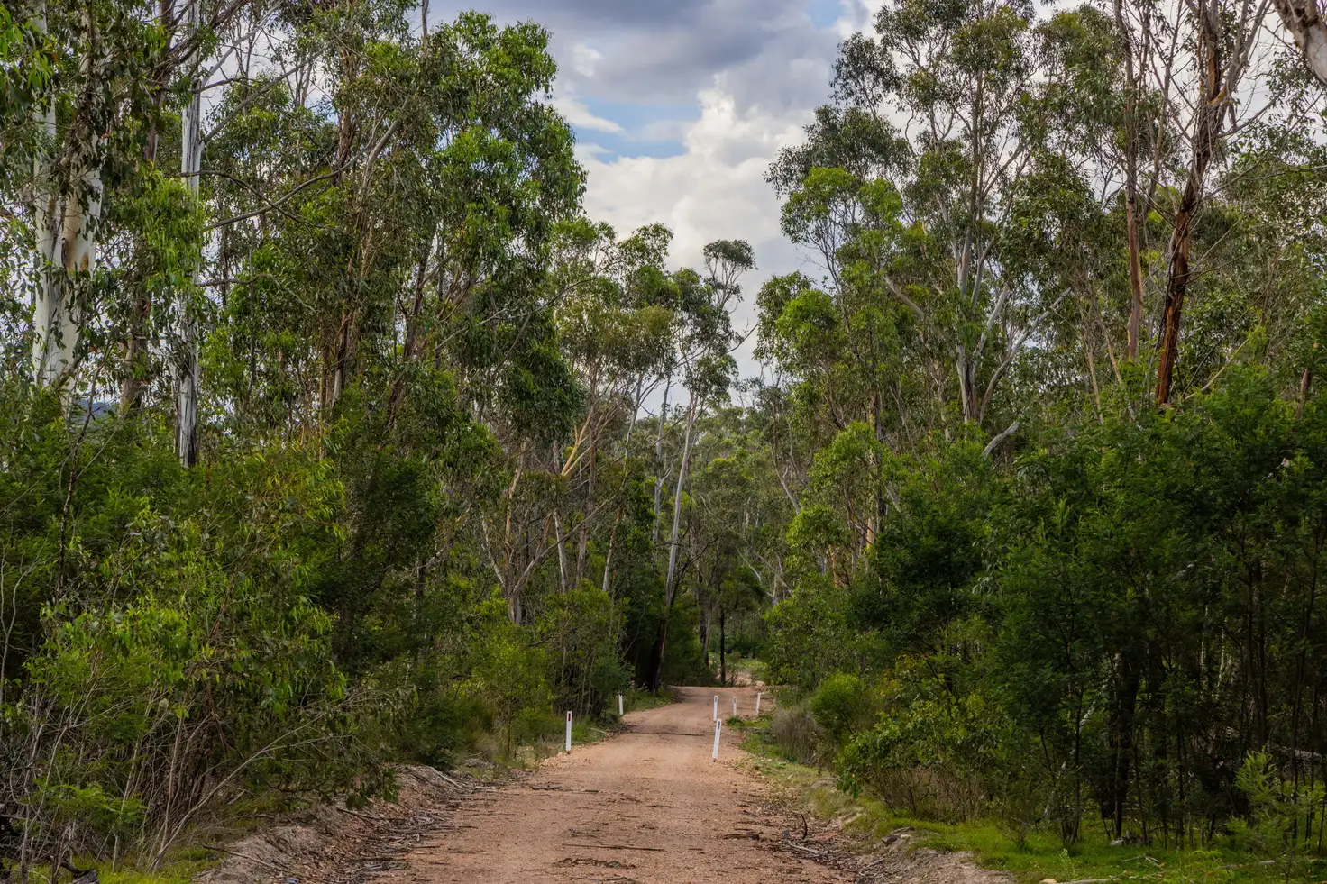 Main view of Homely rural property listing, 153 Murumba Rd,, Bombay NSW 2622
