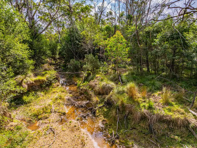 Sixth view of Homely rural property listing, 153 Murumba Rd,, Bombay NSW 2622
