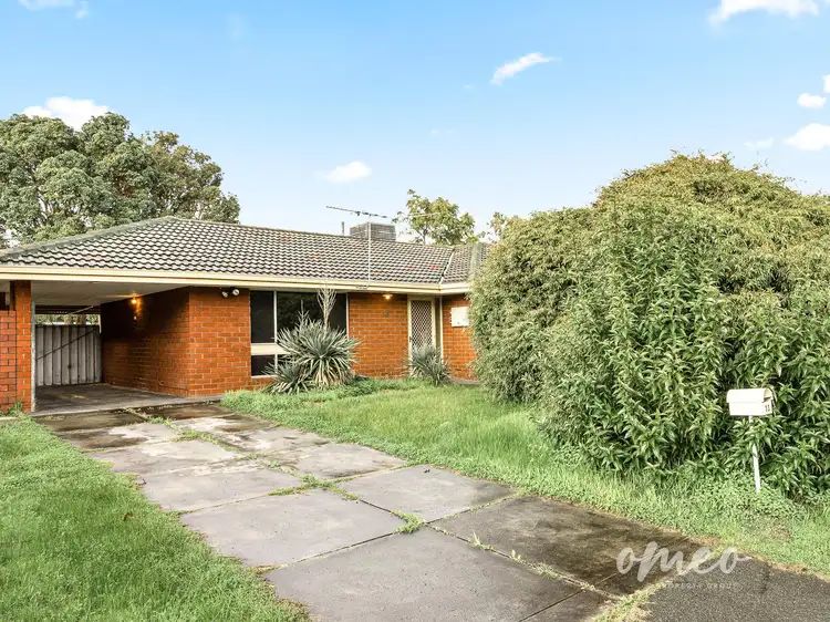 13 Baryna Street